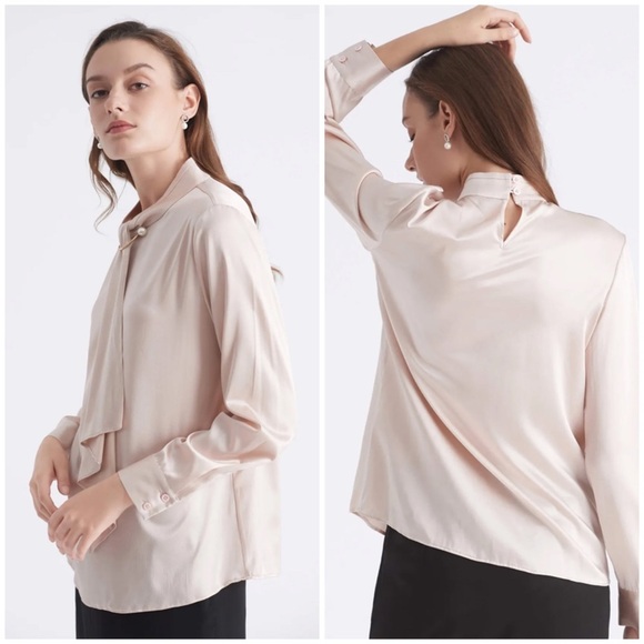 🌺 Lilysilk Pale Pink Silk Feminine Stand Collar Blouse Top w/ Pearl Clip Brooch - Picture 6 of 14